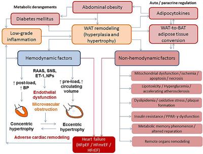 Emerging Role of Adipocyte Dysfunction in Inducing Heart Failure Among Obese Patients With Prediabetes and Known Diabetes Mellitus